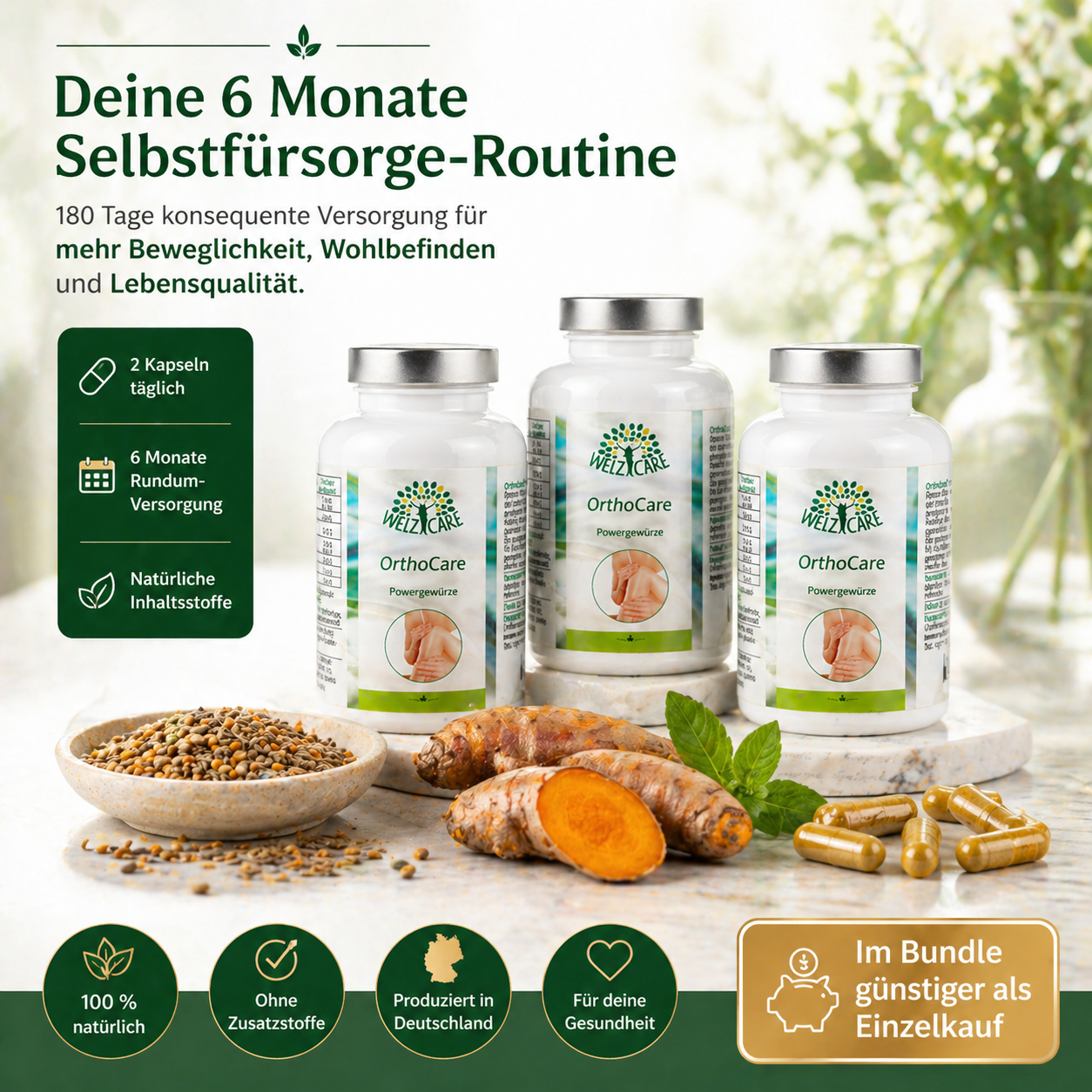 OrthoCare Powergewürzkapseln